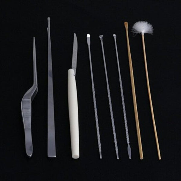 8 Pcs Ear Pick Earwax Removal Kitear Cleansing Tool Setear Curette Wax Remover Ear Wax Removers