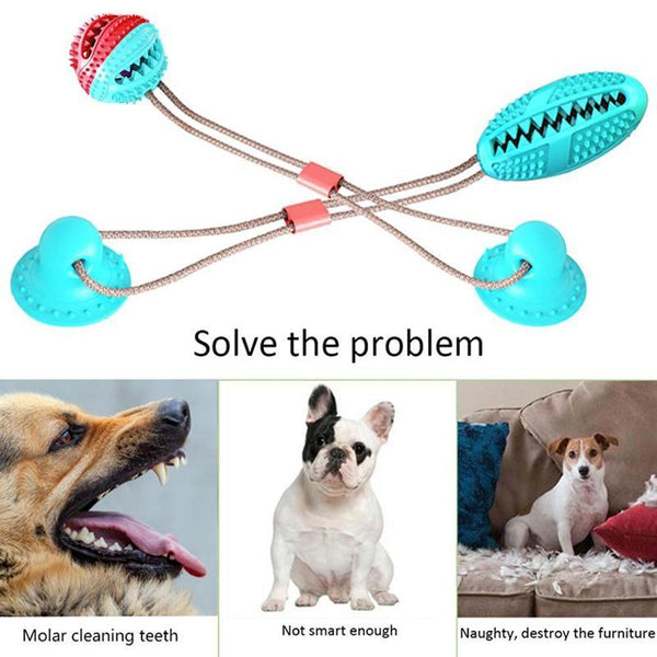 The Sticker Treat Hiding Suction Cup Dog Toy Dog Toys
