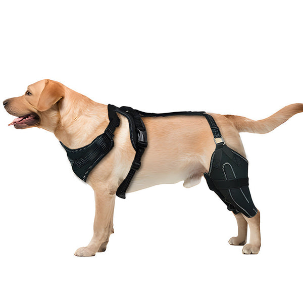 Pet Protective Gear Dog Hind Leg Double Thigh Cover Dog Grooming