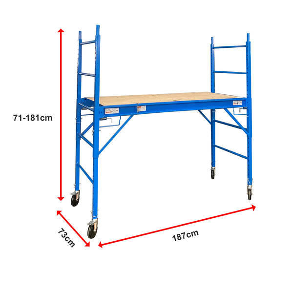 Safety Ladder 450Kg Blue Scaffolding