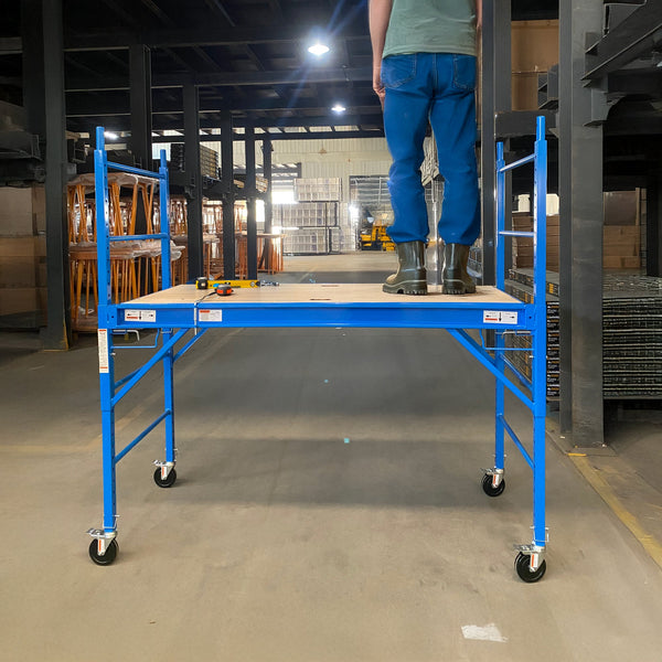 Safety Ladder 450Kg Blue Scaffolding