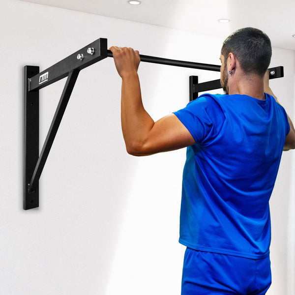 Wall Mounted Pull Up Bar Pull Up Bars