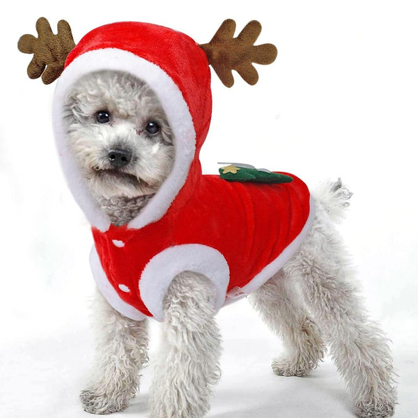 Christmas Dog Coat With Hood