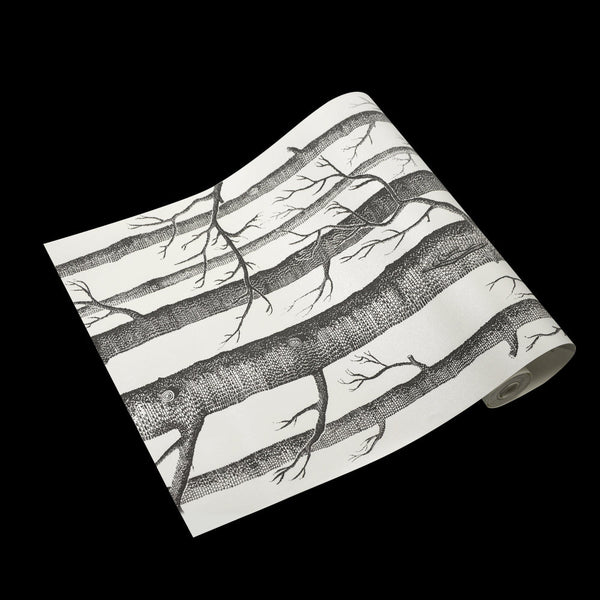 Wallpaper White Birch Tree Non Woven Paper Roll Wallpaper Rolls & Sheets