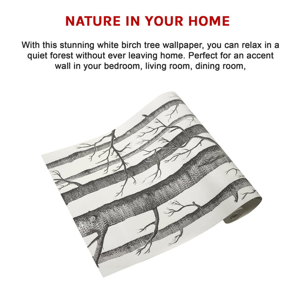 Wallpaper White Birch Tree Non Woven Paper Roll Wallpaper Rolls & Sheets