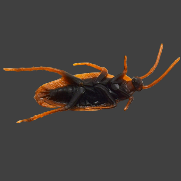 Simulated roach April Fool's Day Toy Shocking Fake roaches Realistic Teasing Little Qiang Party Gags & Tricks