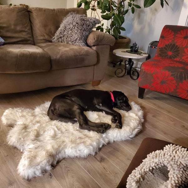 The Ortho Vegan Fur Dog Bed With Memory Foam