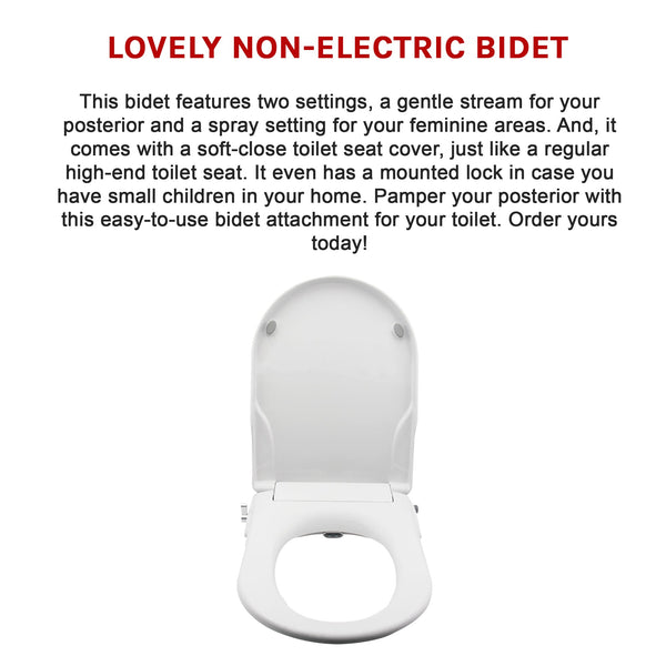 Non Electric Bidet Toilet Seat W/ Cover Bathroom Spray Water Wash Toilet Seats