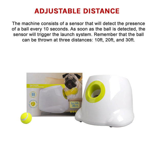 Dog Ball Launcher Thrower Automatic Tennis Fetch Throwing Machine 3 Balls Dog Toys