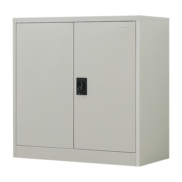 Two Door Metal Short Cabinet Shelf Storage For Home Office Gym Cabinets & Cupboards