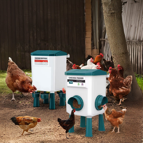 Chicken Feeder Water Food Treadle Poultry Feeding 12Kg Large Capacity 11L Backyard Poultry Feeders