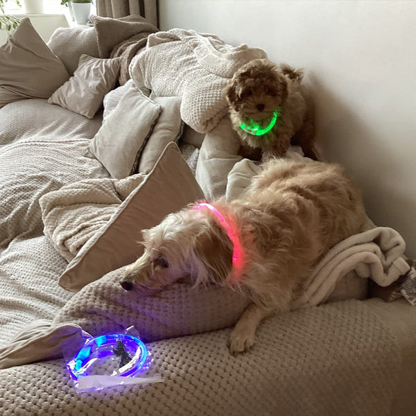 3 Mode Led Dog Collar Usb Rechargeable Detachable & Glowing Pet Safety Necklace For Night Dog Collars