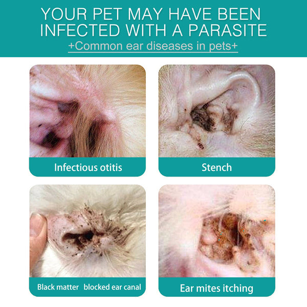 Pet Ear Cleaning Finger Sleeves For Cats And Dogs Mite Earwax Care Canal Dog Grooming