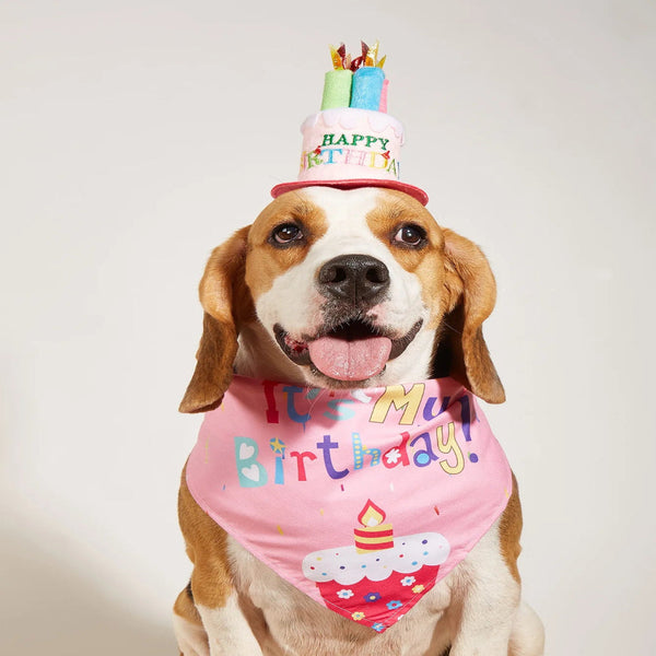 Dog Happy Birthday Decoration Costume Hats Bowknot Bandana Neckerchief Bibs Banners Party Cat Pets Accessories Perros Dog Clothing & Shoes