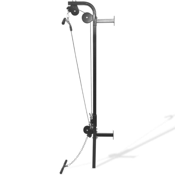 Wall Mounted Home Gym With 2 Pulleys Pull Up Bars