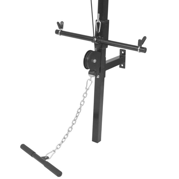 Wall Mounted Home Gym With 2 Pulleys Pull Up Bars