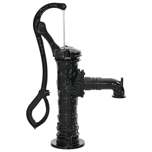 Vidaxl Garden Hand Water Pump Cast Iron Water Pumps & Pressure Tanks