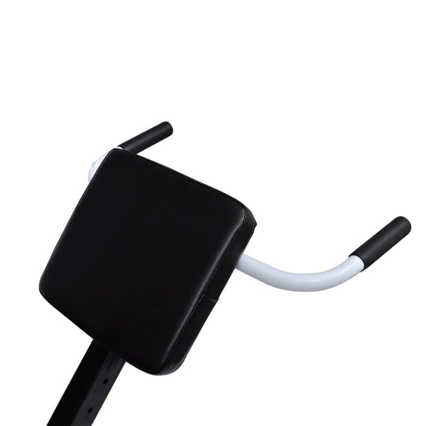 Back Extension Bench Weights Benches