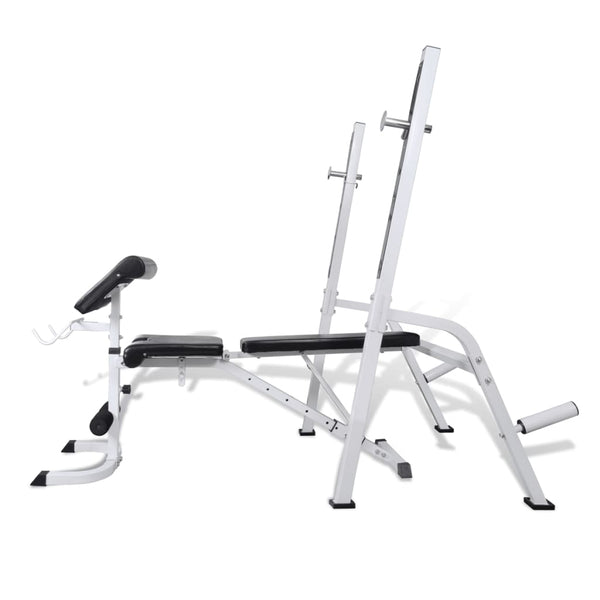Multi-Exercise Workout Bench