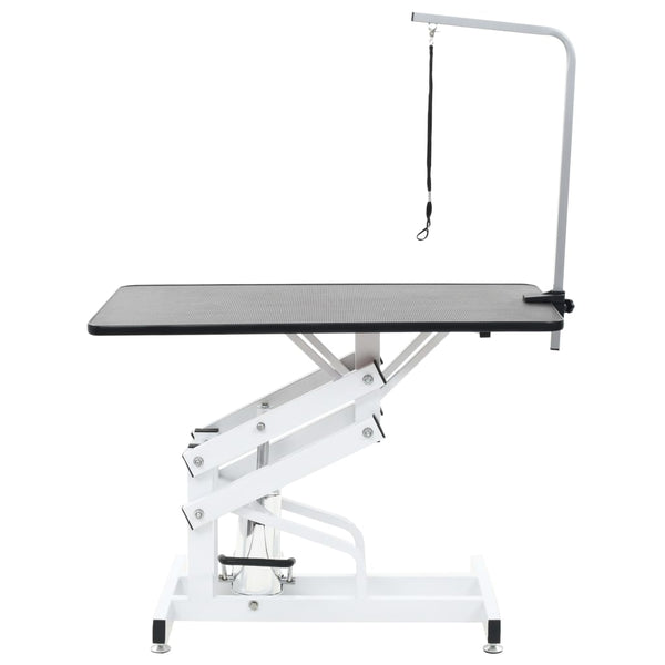Hydraulic Pet Grooming Table With Arm And Loop Grooming Tables