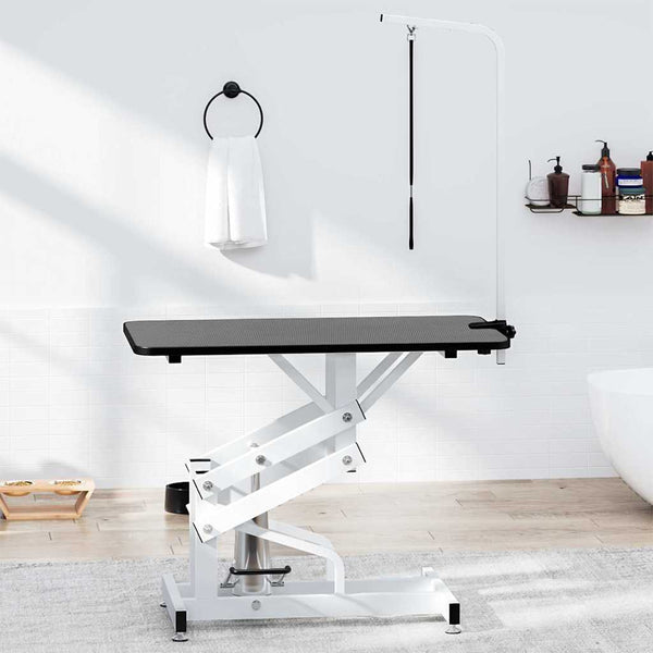 Hydraulic Pet Grooming Table With Arm And Loop Grooming Tables