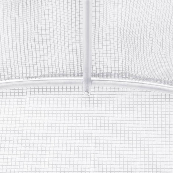 Vidaxl Greenhouse 27 M 900X300x200 Cm Greenhouses