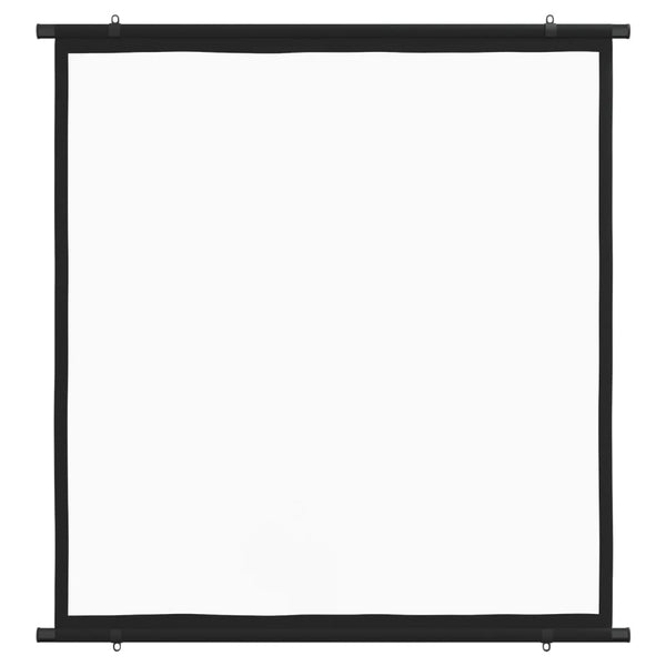 Projection Screen 160 Cm 1:1