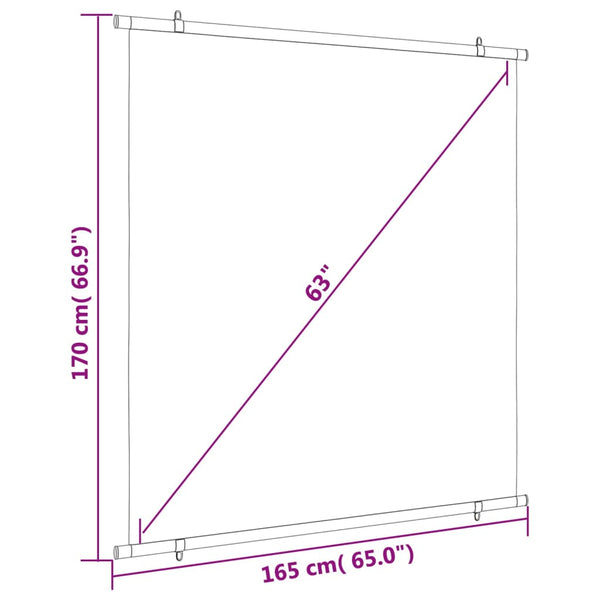 Projection Screen 160 Cm 1:1