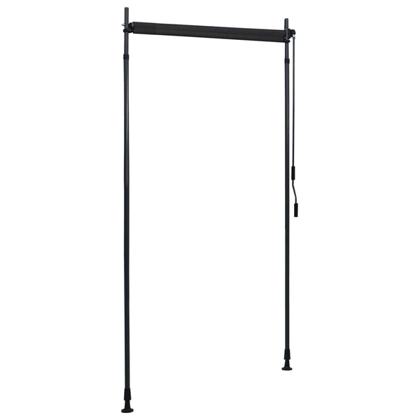 Outdoor Roller Blind 100X270 Cm Anthracite Blinds & Shades
