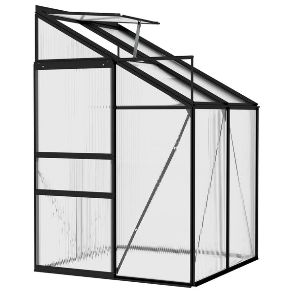 Greenhouse Anthracite Aluminium 2.59 Mâ³