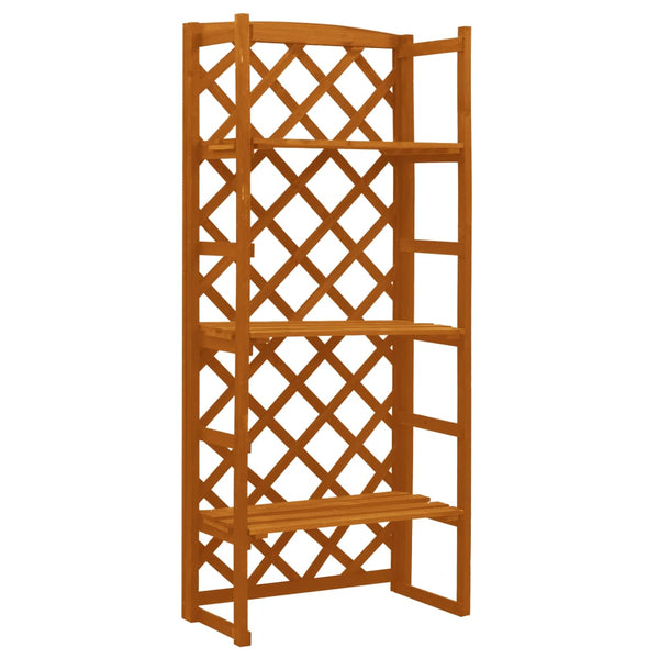 Plant Stand With Trellis Orange 60X30x140 Cm Solid Firwood Plant Stands
