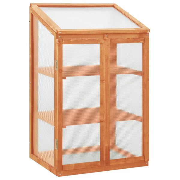 Firwood Greenhouse With Hinged Lid And Shelves Garden Structure 60X45x100cm Greenhouses