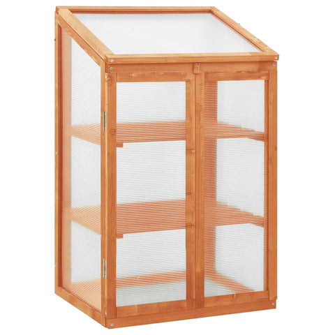 Firwood Greenhouse With Hinged Lid And Shelves Garden Structure 60X45x100cm Greenhouses