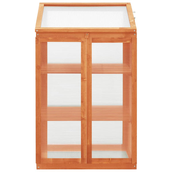 Firwood Greenhouse With Hinged Lid And Shelves Garden Structure 60X45x100cm Greenhouses