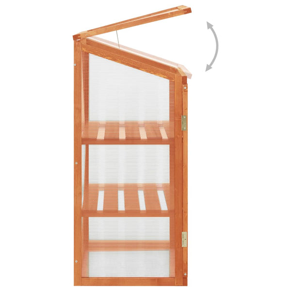 Firwood Greenhouse With Hinged Lid And Shelves Garden Structure 60X45x100cm Greenhouses