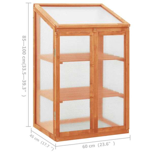 Firwood Greenhouse With Hinged Lid And Shelves Garden Structure 60X45x100cm Greenhouses