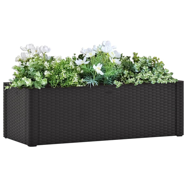 Garden Raised Bed With Self Watering System Anthracite 100X43x33 Cm Raised Garden Beds