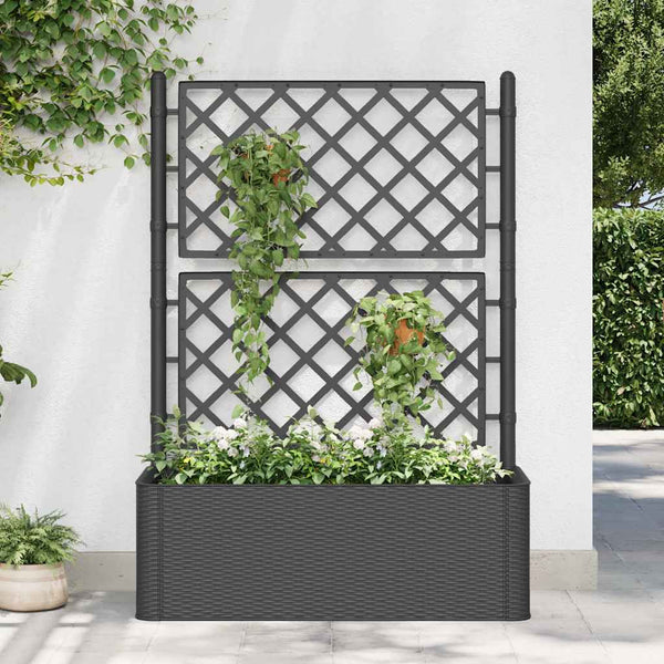 Vidaxl Garden Raised Bed With Trellis And Self Watering System Anthracite Raised Garden Beds
