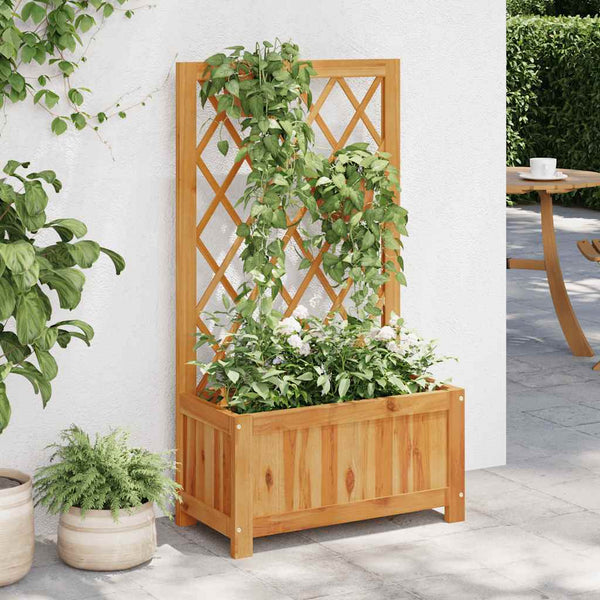 Vidaxl Garden Raised Bed With Trellis Solid Acacia Wood Raised Garden Beds