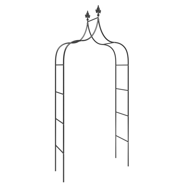 2 Pcs Black 120X38x260 Cm Steel Garden Arches