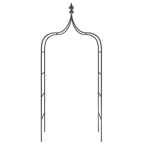 2 Pcs Black 120X38x260 Cm Steel Garden Arches