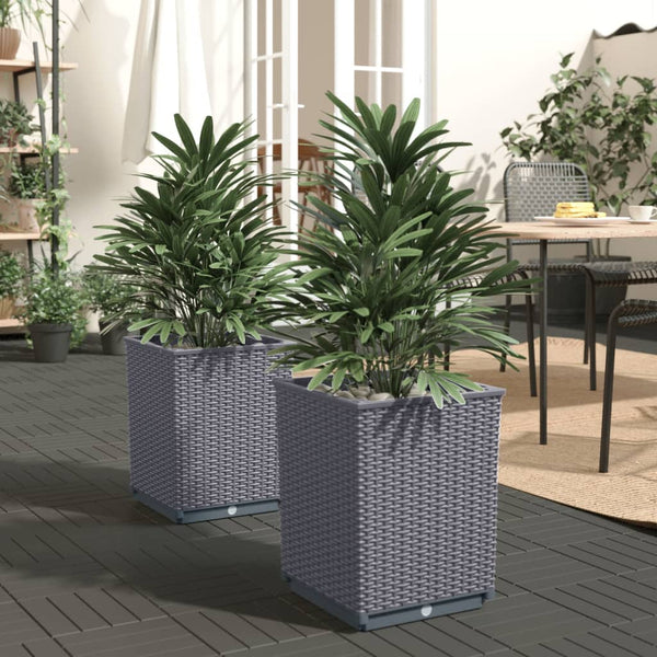 Planters 2 Pcs Dark Grey 30X30x37 Cm Polypropylene Planters & Vases