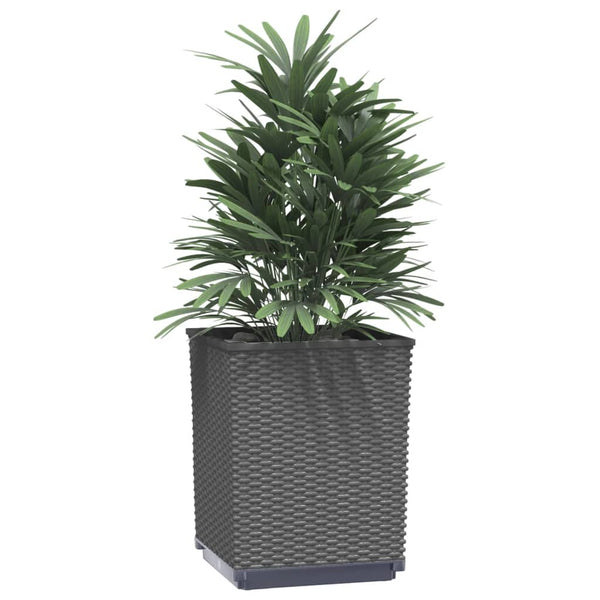 Planters 2 Pcs Black 30X30x37 Cm Polypropylene Planters & Vases