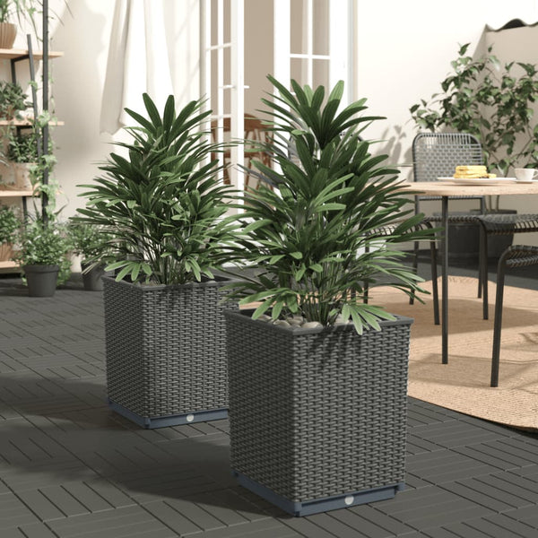 Planters 2 Pcs Black 30X30x37 Cm Polypropylene Planters & Vases