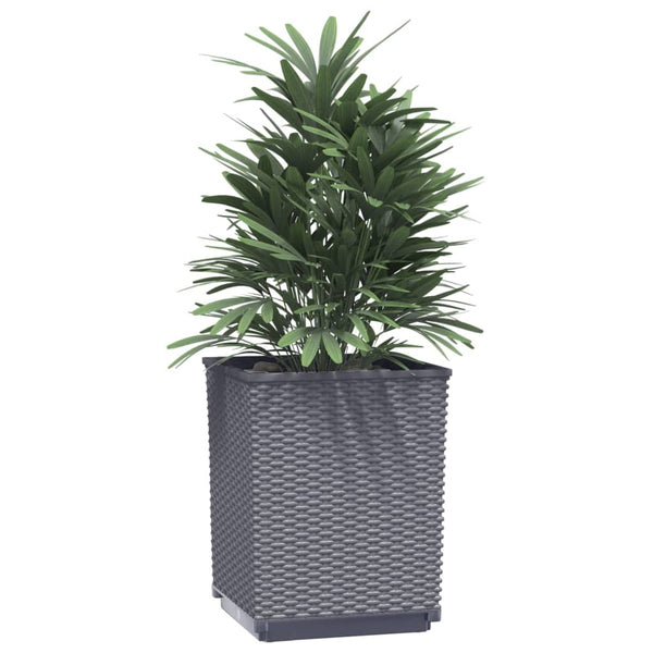 Planters 4 Pcs Dark Grey 30X30x37 Cm Polypropylene Planters & Vases