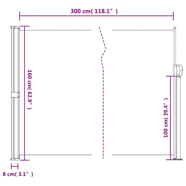 Vidaxl Retractable Side Awning Black 160X300 Cm Awning & Canopy Parts