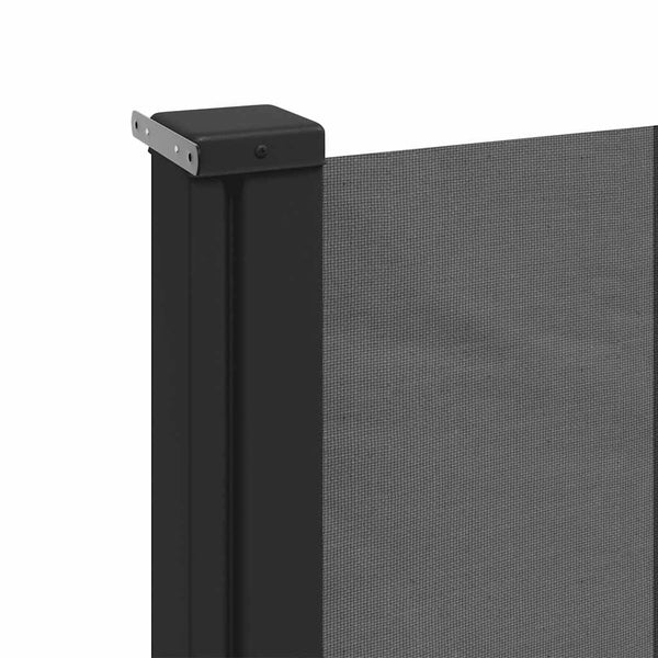 Vidaxl Retractable Side Awning Anthracite 220X300 Cm Awning & Canopy Parts