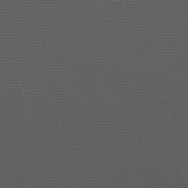 Retractable Side Awning Anthracite 120X500 Cm Awning & Canopy Parts