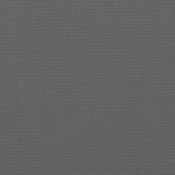 Vidaxl Retractable Side Awning Anthracite 220X500 Cm Awning & Canopy Parts