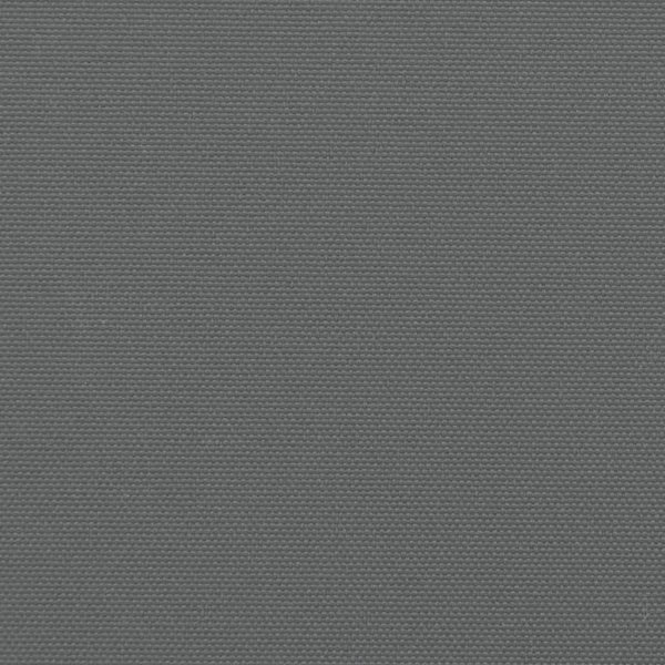 Retractable Side Awning Anthracite 220X600 Cm Awning & Canopy Parts